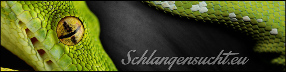Schlangensucht.eu