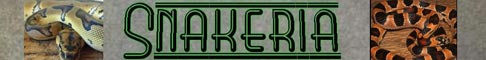 Snakeria