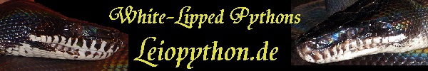 Leiopython.de