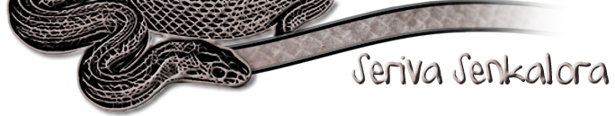 topbanner