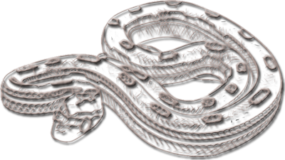 snake